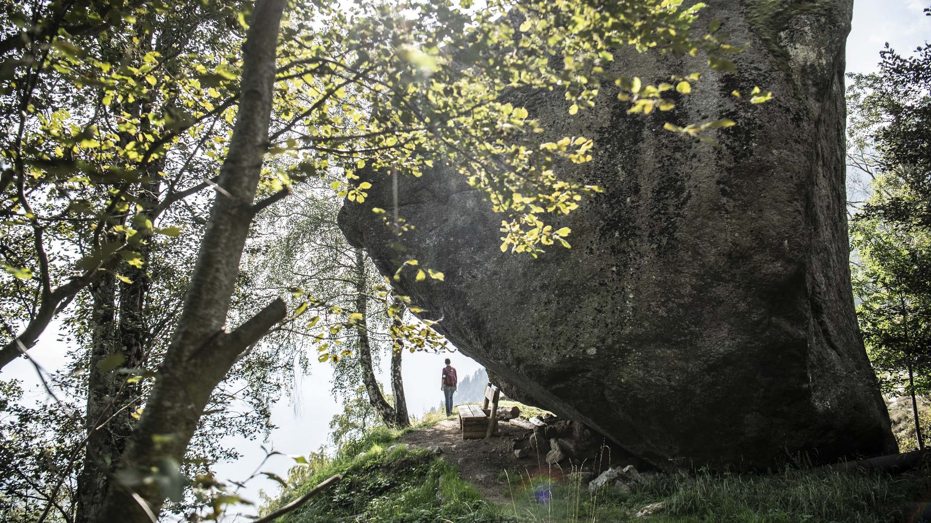 Grande roccia con panchina nel bosco, persona sullo sfondo con sole